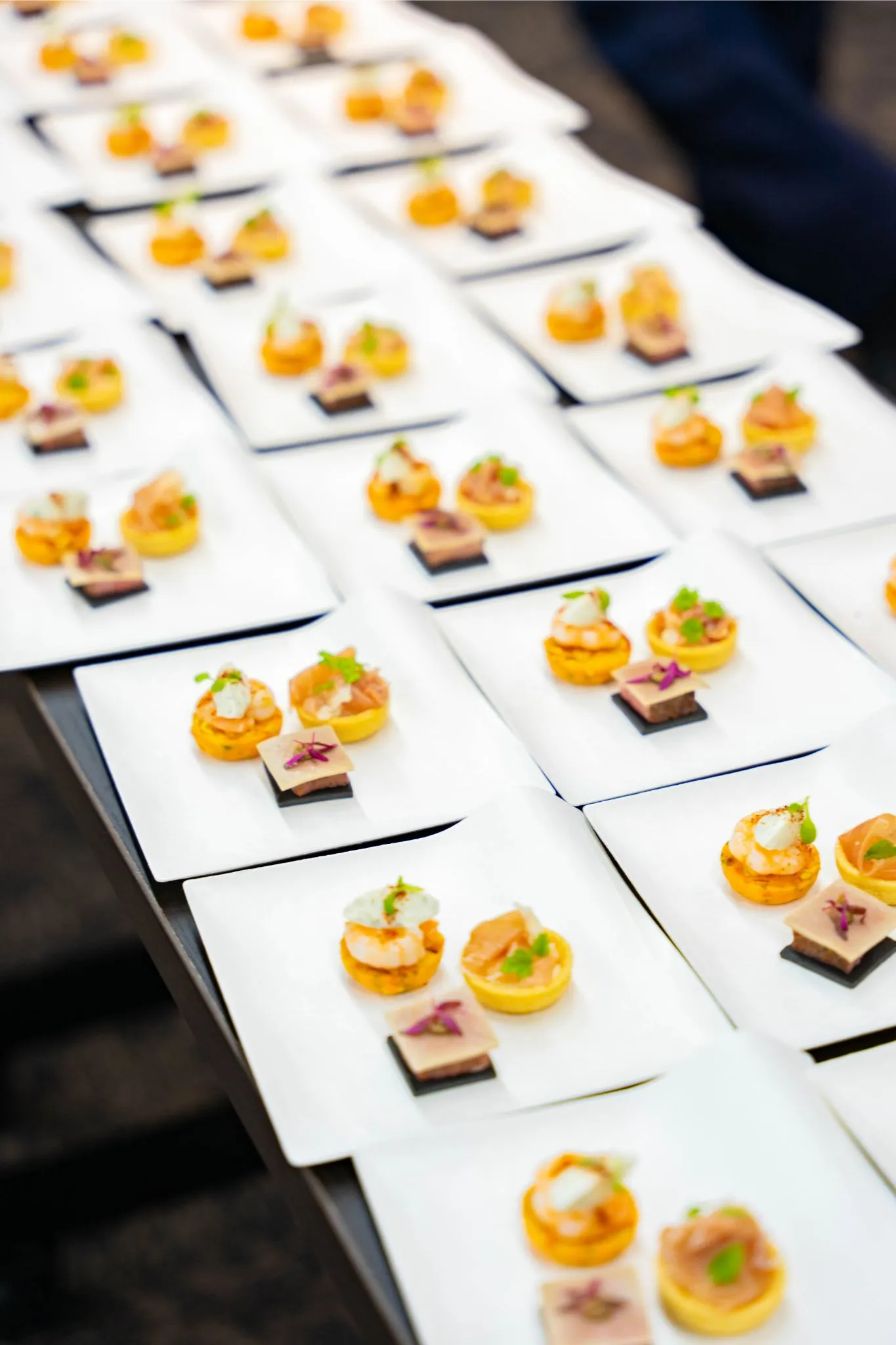 第1回カイロス オーナーズサロン開催風景5